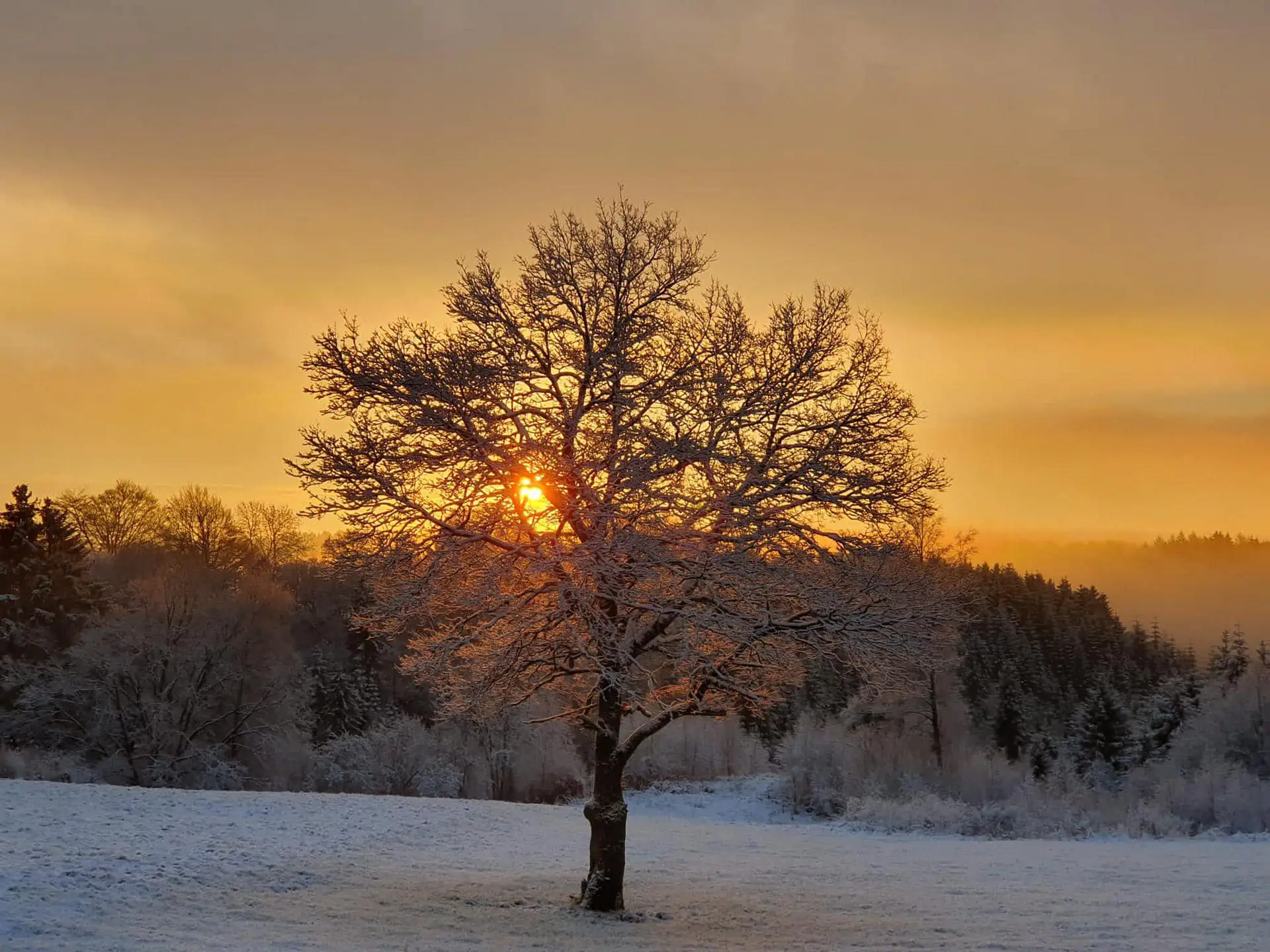 Cottage for 4 people in Malmedy Le Chalet du Tchession